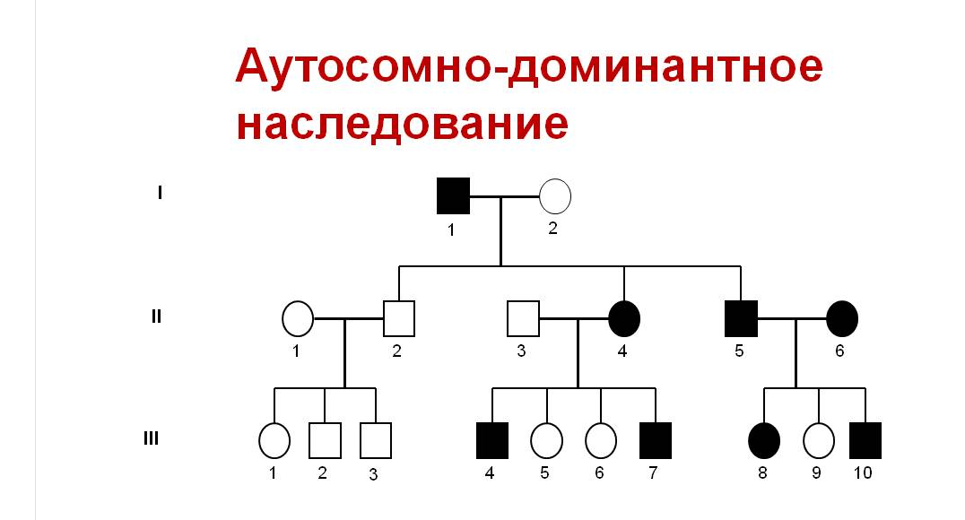 Карий цвет глаз доминантный аутосомный признак. Аутосомный доминантный Тип наследования схема. Аутосомно-рецессивный Тип родословная. Аутосомно-доминантный Тип наследования примеры. Аутосомно доминантный Тип схема.