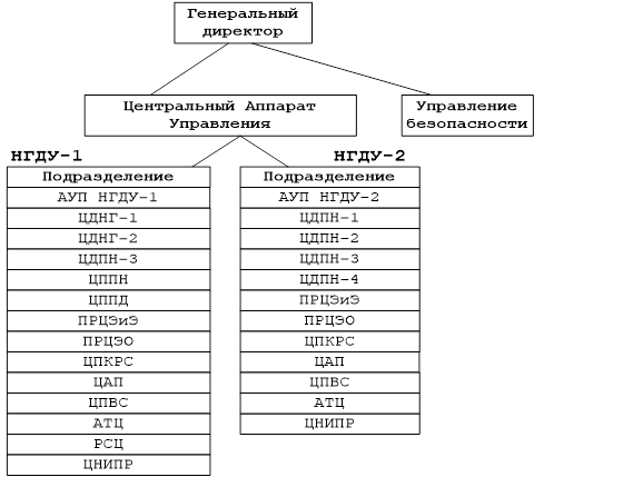 Организационная структура НГДУ-1 «Белкамнефть». Организационная структура Белкамнефть. Схема организационной структуры предприятия Белкамнефть. Организационная структура ЦДНГ.