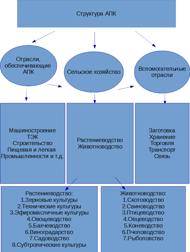 Структура сельского. Состав отрасли агропромышленного комплекса. Состав агропромышленного комплекса схема. Состав,структура АПК схему. Состав и структура агропромышленного комплекса РФ.