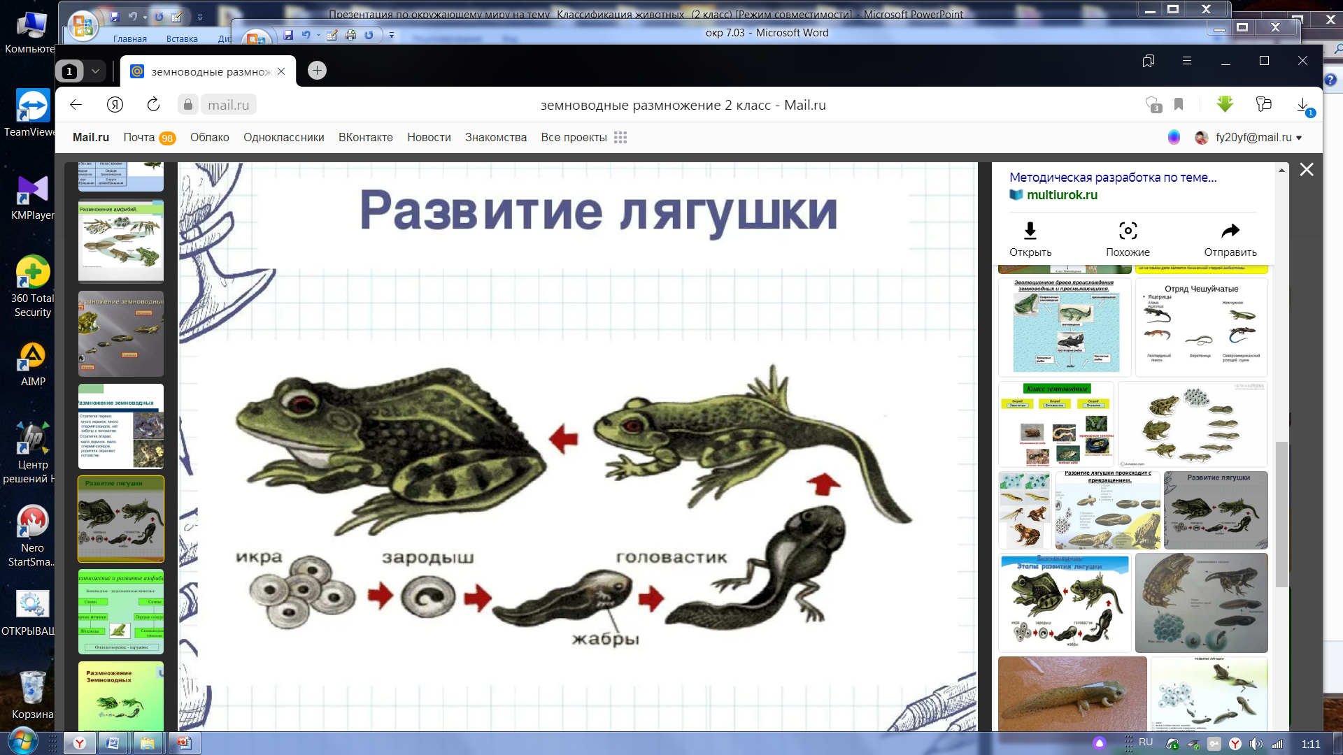 Контрольная по рептилиям 7 класс. Земноводные птицы. Рабочий лист по теме пресмыкающиеся. Хищные земноводные. Задания пресмыкающиеся и птицы.