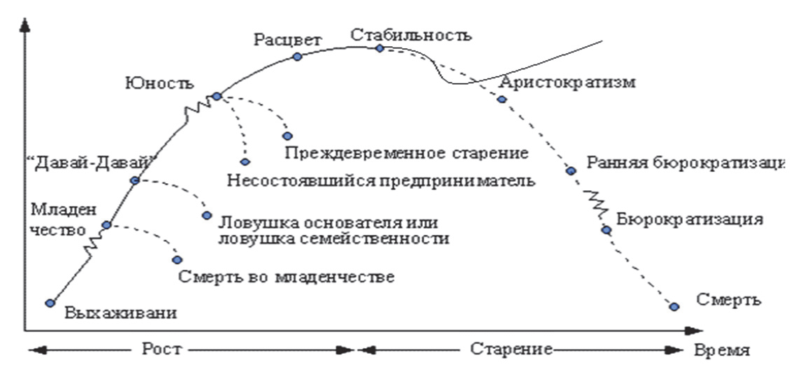 Модели жизненного цикла организации адизес. Модель адизеса жизненный цикл организации. жизненный цикл организации схема адизес. модель жизненного цикла по адизесу. схема жизненного цикла организации и.адизеса.